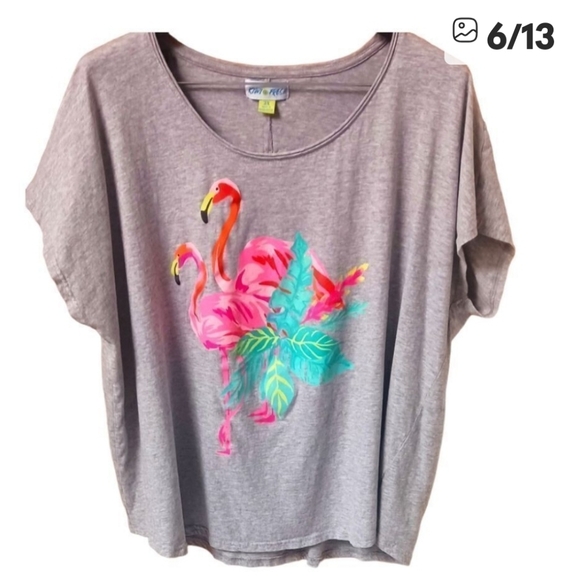 Kiwi Fresh Plus Size New Flamingo Print Tee. - Picture 2 of 14